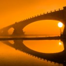 Fire Fog at Fernbridge